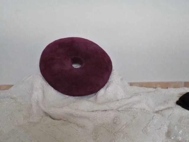 Offline Petitesoles36 on BongaCams