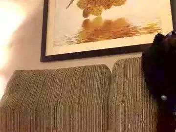 gingerfox777 on Chaturbate 