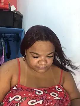 Meellcarioca — Plug